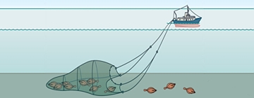 2. Grundschleppnetzfischerei